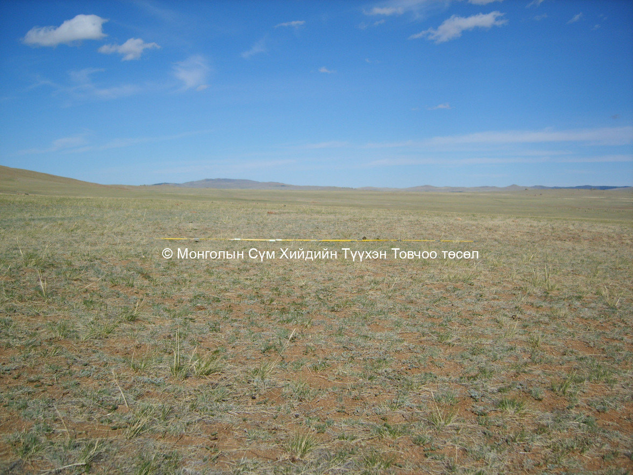 Баруун талаас авсан 